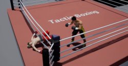 Tactic Boxing screenshot