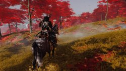 Ghost of Tsushima DIRECTOR'S CUT screenshot