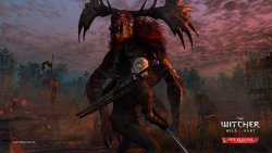 The Witcher 3 Wild Hunt picture