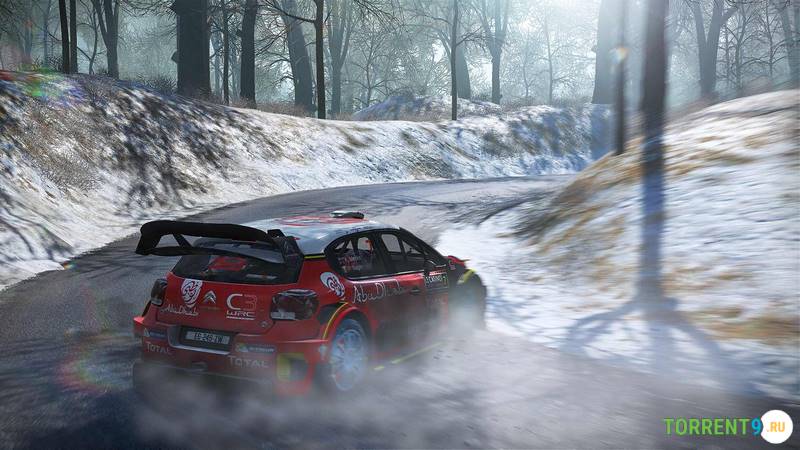 WRC 7 FIA World Rally Championship picture