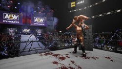 AEW: Fight Forever game screen