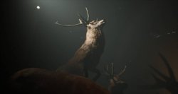 Project 13: Taxidermy Trails game screen