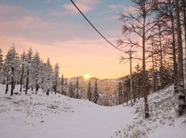 Erzurum screenshot