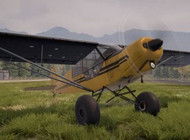 Deadstick Bush Flight Simulator picture