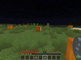 Minecraft 1.1 picture