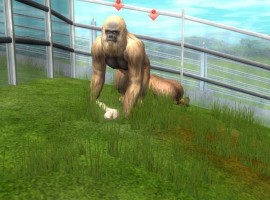 Wildlife Park 2 screenshot