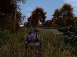 DayZ game screen