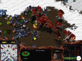 StarCraft Brood War game screen