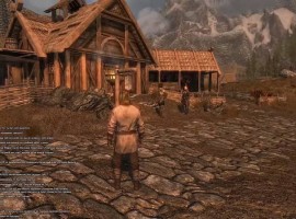 Skyrim SLMP GR game screen