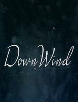 DownWind