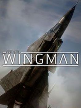 Project Wingman