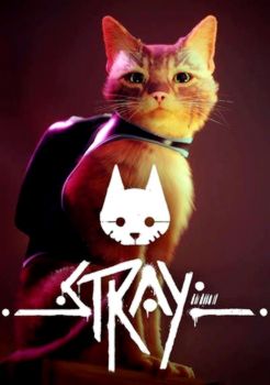 Stray