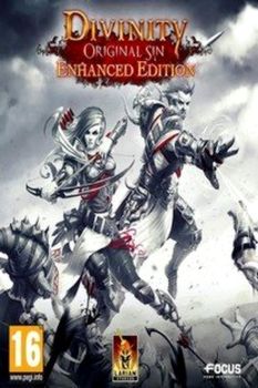 Divinity Original Sin Enhanced Edition