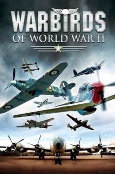 WarBirds - World War II Combat Aviation