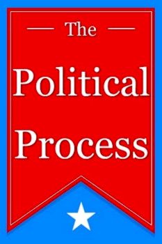 The Political Process