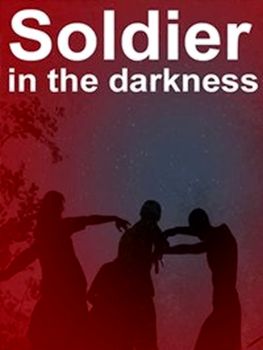 Soldier in the darkness