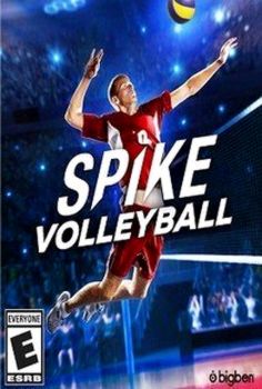 Spike Volleyball