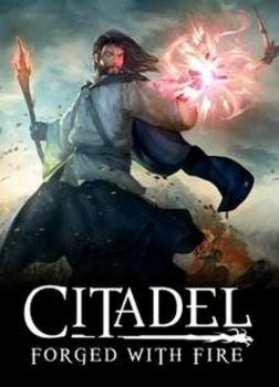 Citadel Forged with Fire