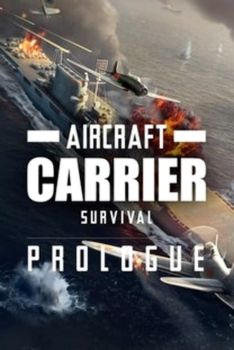 Aircraft Carrier Survival