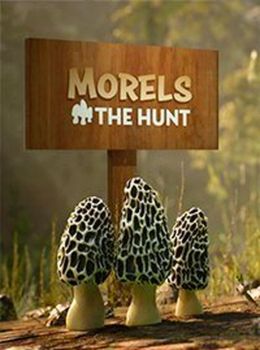 Morels The Hunt